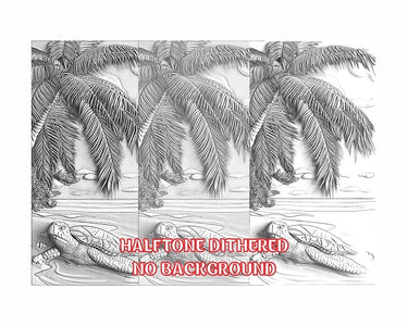 Turtle 3d illusion & laser-ready files 3DWave.us